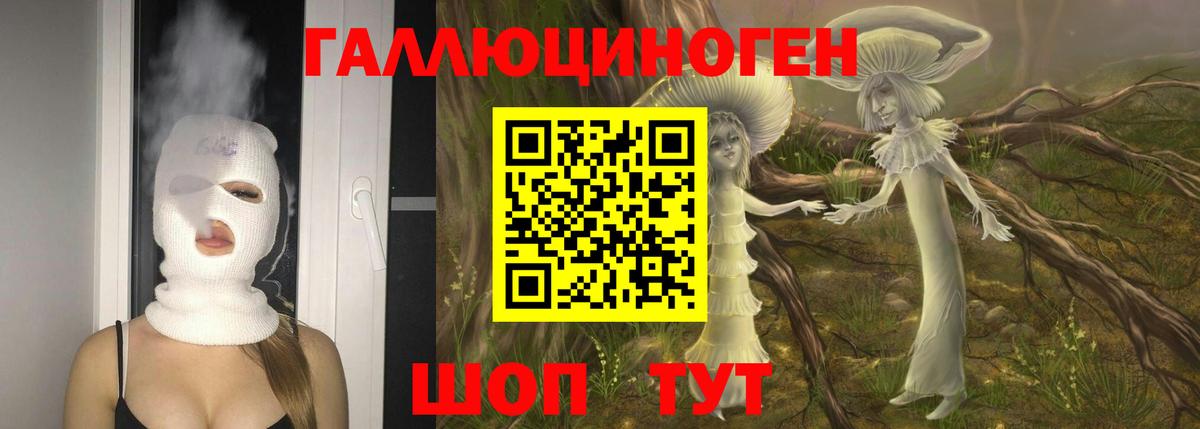Псилоцибиновые грибы Cubensis Елабуга
